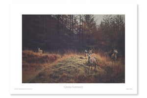 
                
                    Load image into Gallery viewer, Hello Deer
                
            