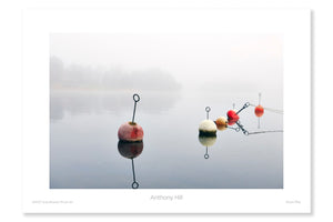 
                
                    Load image into Gallery viewer, Noon Mist
                
            