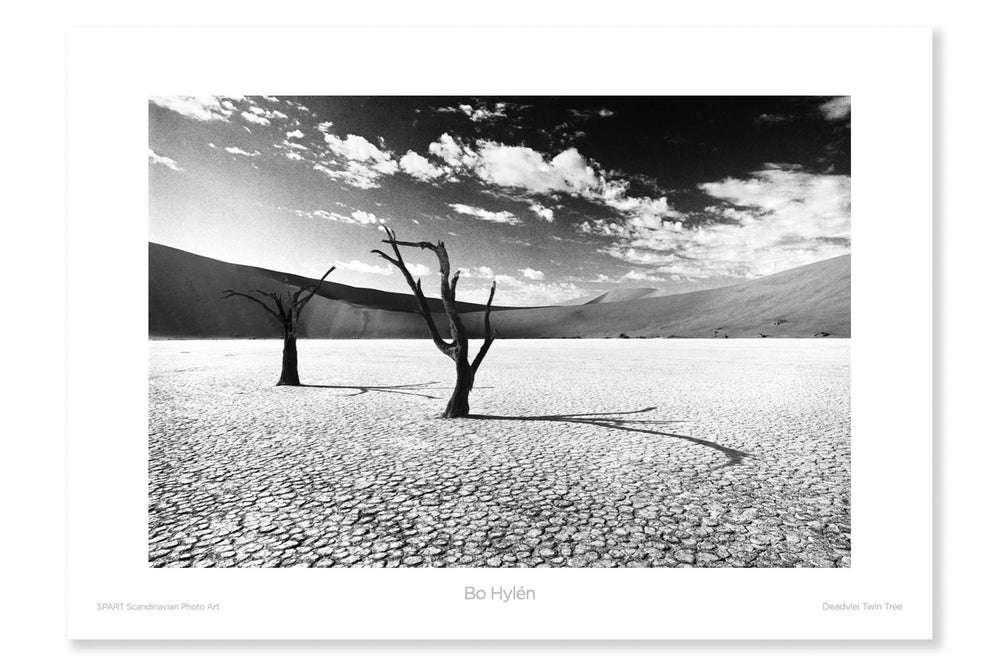 
                
                    Load image into Gallery viewer, Deadvlei twin tree
                
            