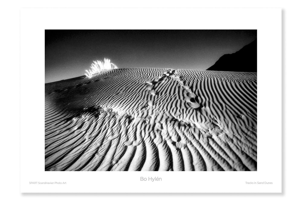 
                
                    Load image into Gallery viewer, Tracks in sand dunes
                
            