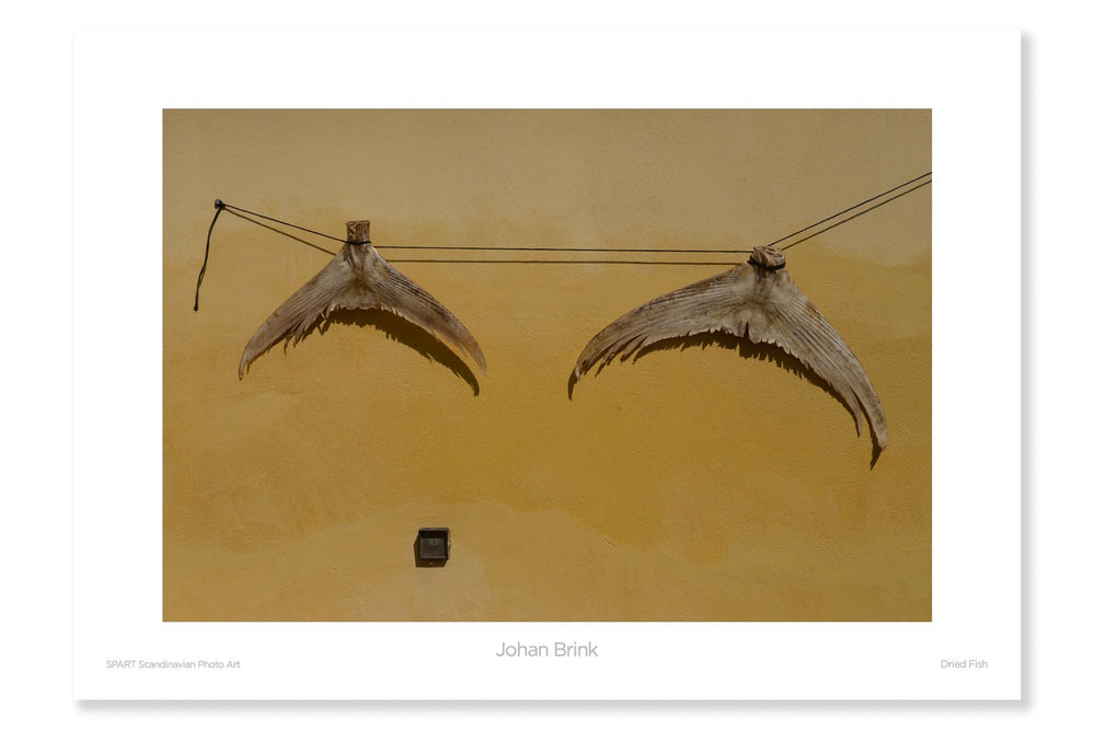 
                
                    Load image into Gallery viewer, Dried Fish
                
            