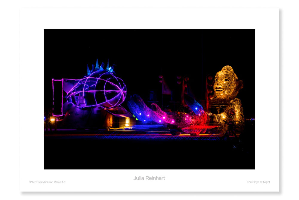 
                
                    Load image into Gallery viewer, The Playa at Night
                
            