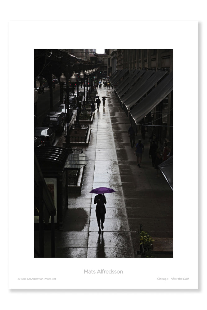 
                
                    Load image into Gallery viewer, Chicago - After the Rain
                
            
