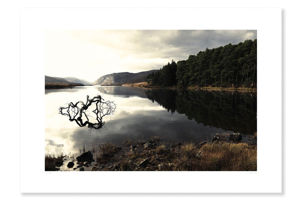 
                
                    Load image into Gallery viewer, Donegal
                
            