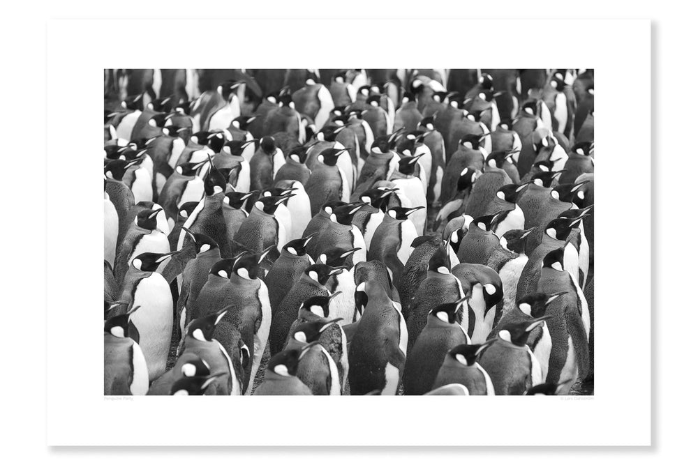 
                
                    Load image into Gallery viewer, Penguine Party
                
            