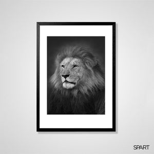 
                
                    Load image into Gallery viewer, The King
                
            
