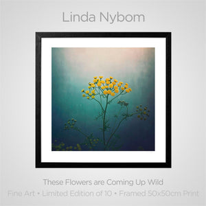 
                
                    Load image into Gallery viewer, Fine Art Print: These Flowers are Coming up Wild
                
            
