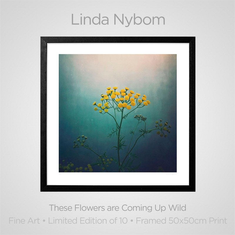 Fine Art Print: These Flowers are Coming up Wild