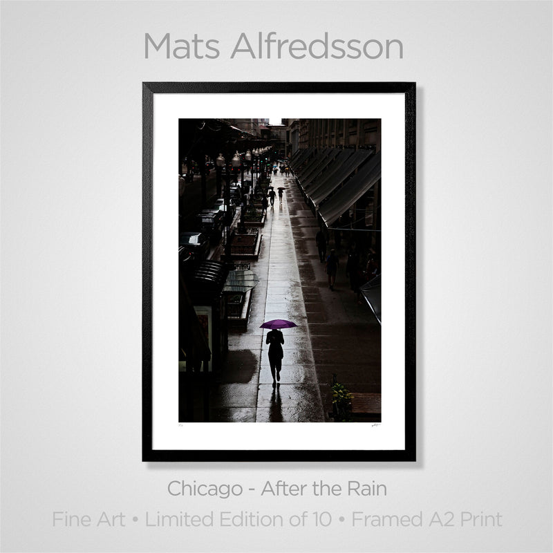 Fine Art Print: Chicago After the Rain
