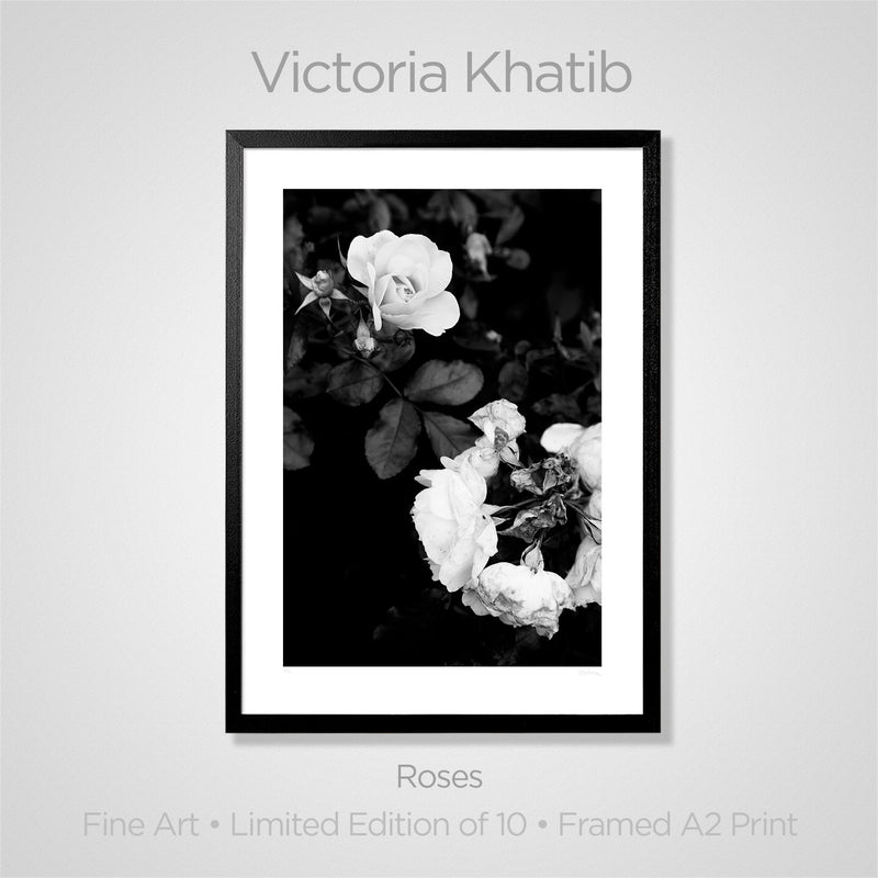 Fine Art Print: Roses