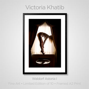 
                
                    Load image into Gallery viewer, Fine Art Print: Waldorf Astoria I
                
            