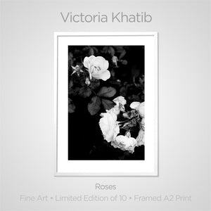 
                
                    Load image into Gallery viewer, Fine Art Print: Roses
                
            