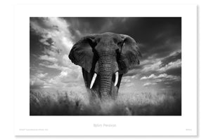 
                
                    Load image into Gallery viewer, Africa
                
            