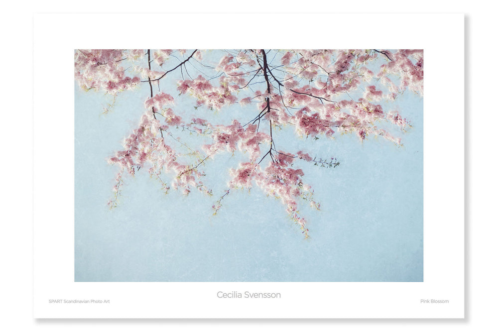 
                
                    Load image into Gallery viewer, Pink Blossom
                
            