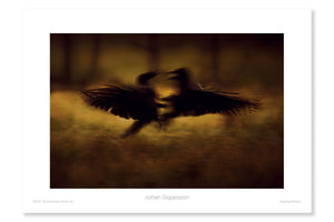 
                
                    Load image into Gallery viewer, Raging Ravens
                
            