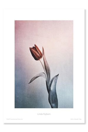 
                
                    Load image into Gallery viewer, With a simple Tulip
                
            