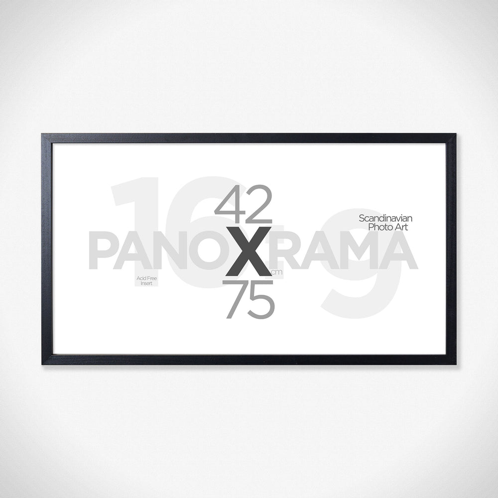 
                
                    Load image into Gallery viewer, Photo Frame Panorama: 42x75 cm
                
            