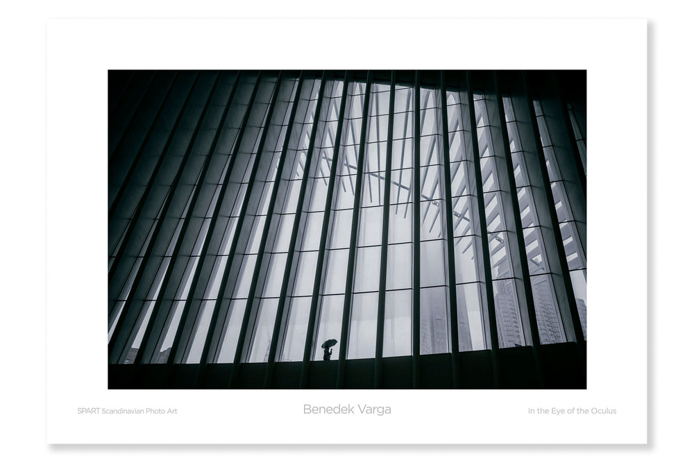 
                
                    Load image into Gallery viewer, Fine Poster: In the eye of the oculus-spart-posters.myshopify.com-Benedek Varga
                
            