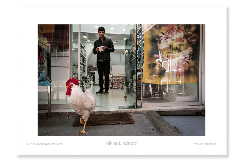 
                
                    Load image into Gallery viewer, Fine Poster: We are Animals I-spart-posters.myshopify.com-Niklas Lindskog
                
            